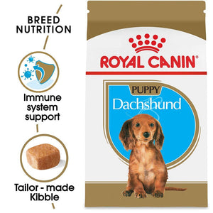 Dachshund shop royal canin