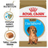 Royal Canin Breed Health Nutrition Dachshund Puppy Dry Dog Food  