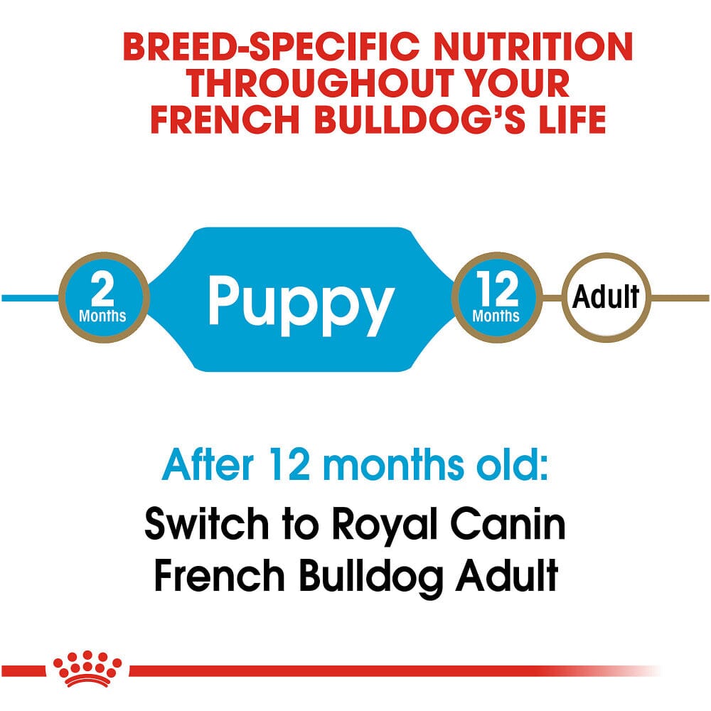 Royal Canin Breed Health Nutrition French Bulldog Puppy Recipe Dry Dog Food  