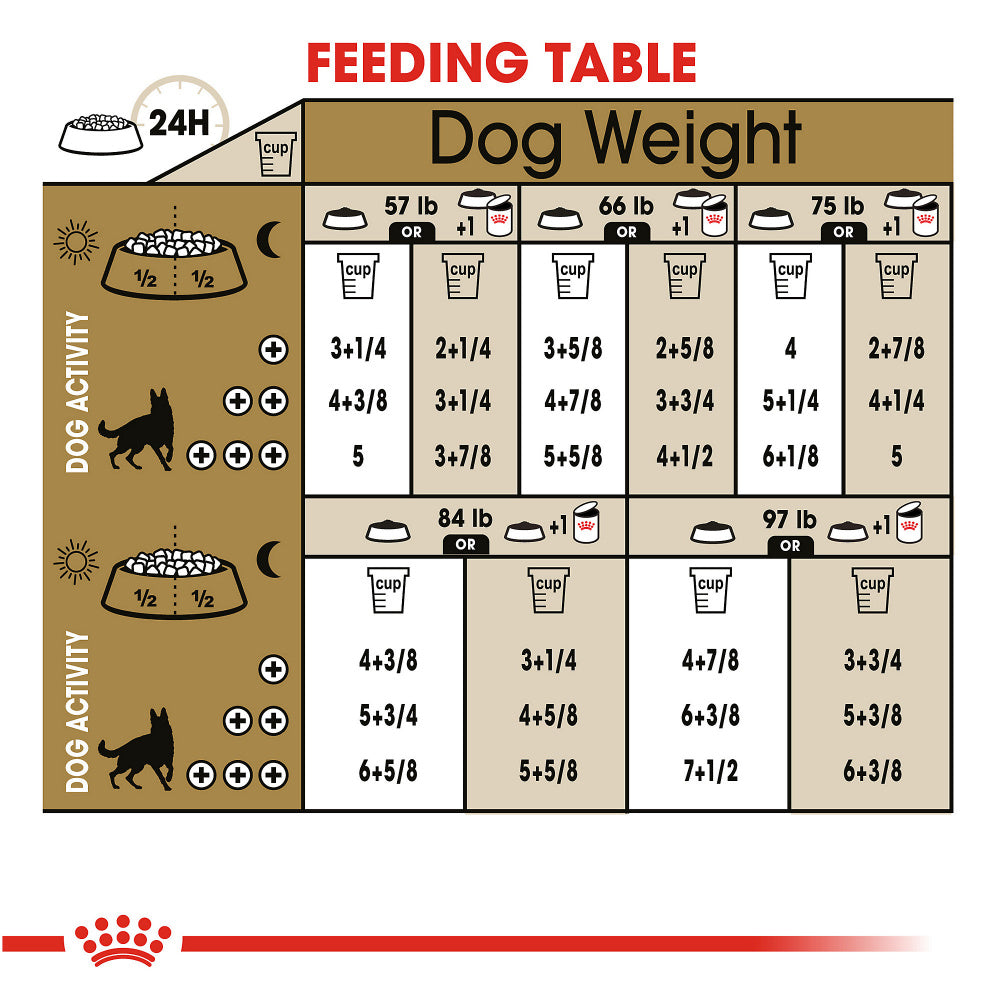 Royal Canin Breed Health Nutrition German Shepherd Adult Dry Dog Food  