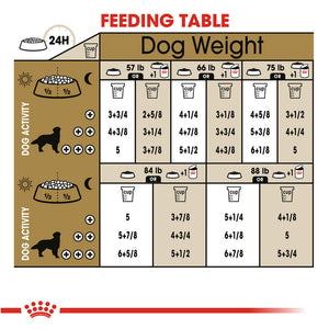 Royal canin golden clearance retriever junior feeding guide