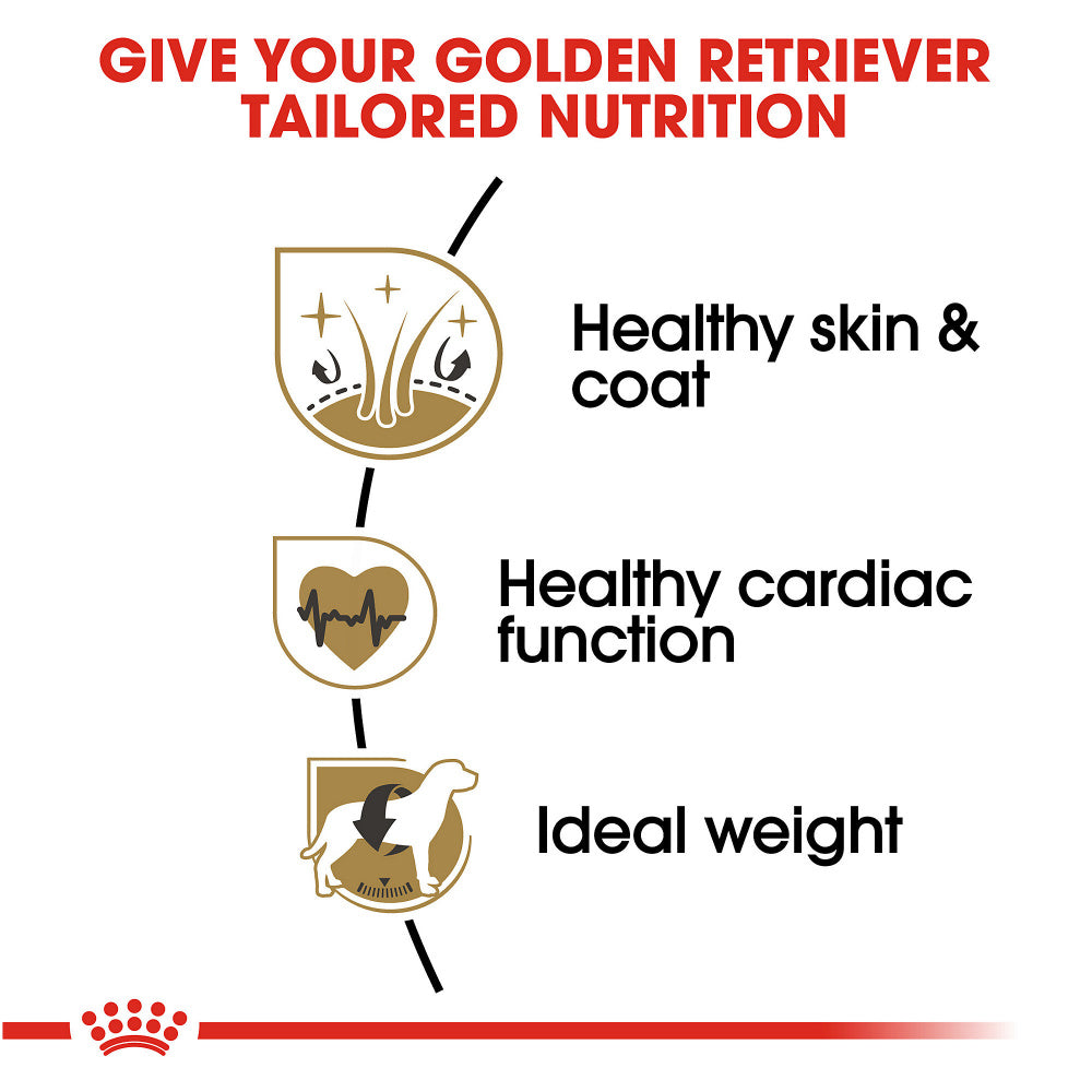 Royal Canin Breed Health Nutrition Golden Retriever Adult Dry Dog Food  