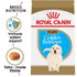 Royal Canin Breed Health Nutrition Golden Retriever Puppy Dry Dog Food  