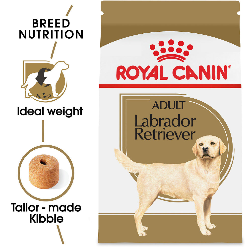 Royal Canin Breed Health Nutrition Labrador Retriever Adult Dry Dog Food  