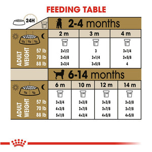 Labrador retriever hotsell food chart