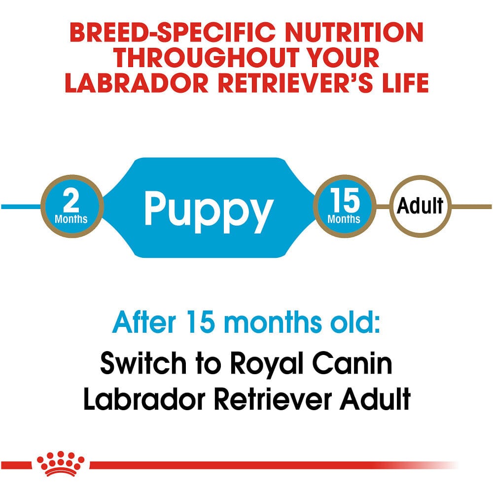 Royal Canin Breed Health Nutrition Labrador Retriever Puppy Dry Dog Food  