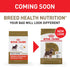 Royal Canin Breed Health Nutrition Miniature Schnauzer Adult Dry Dog Food  