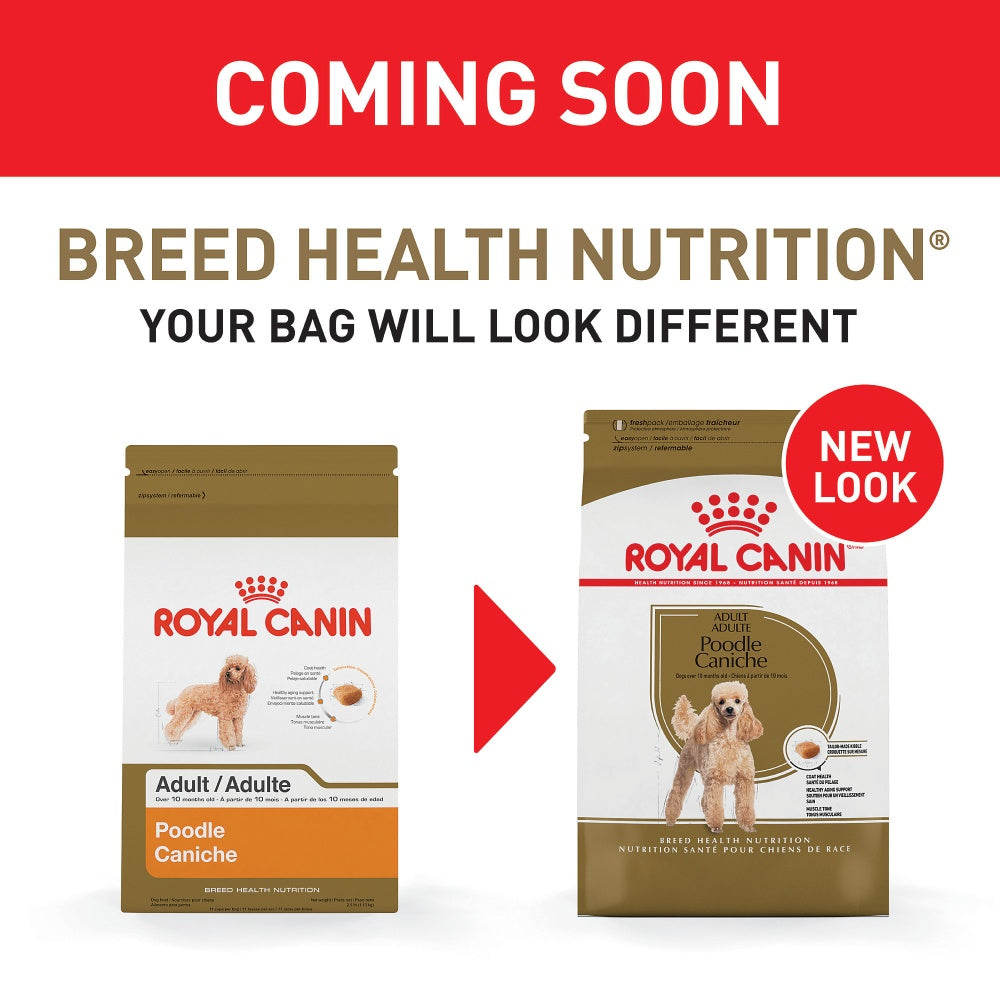 Royal Canin Breed Health Nutrition Poodle Adult Dry Dog Food  