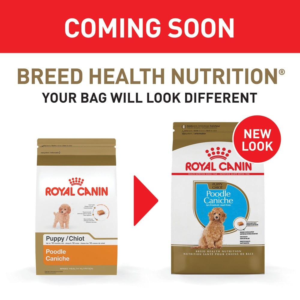 Royal Canin Breed Health Nutrition Poodle Puppy Dry Dog Food  