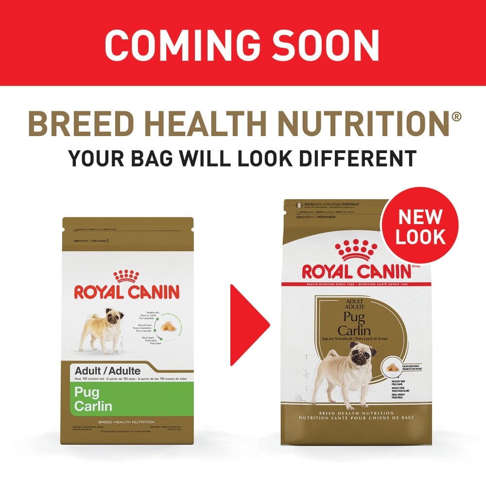 Royal Canin Breed Health Nutrition Pug Adult Dry Dog Food  