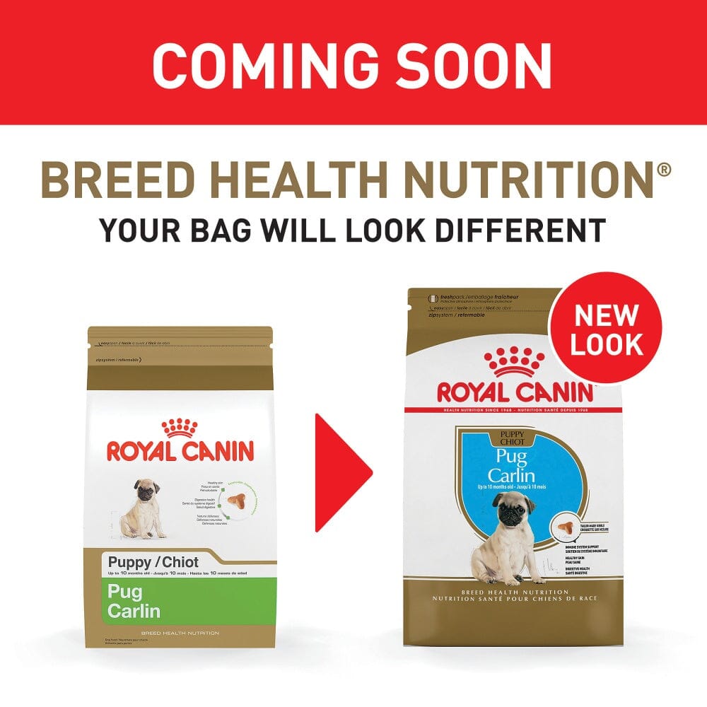 Royal Canin Breed Health Nutrition Pug Puppy Dry Dog Food  