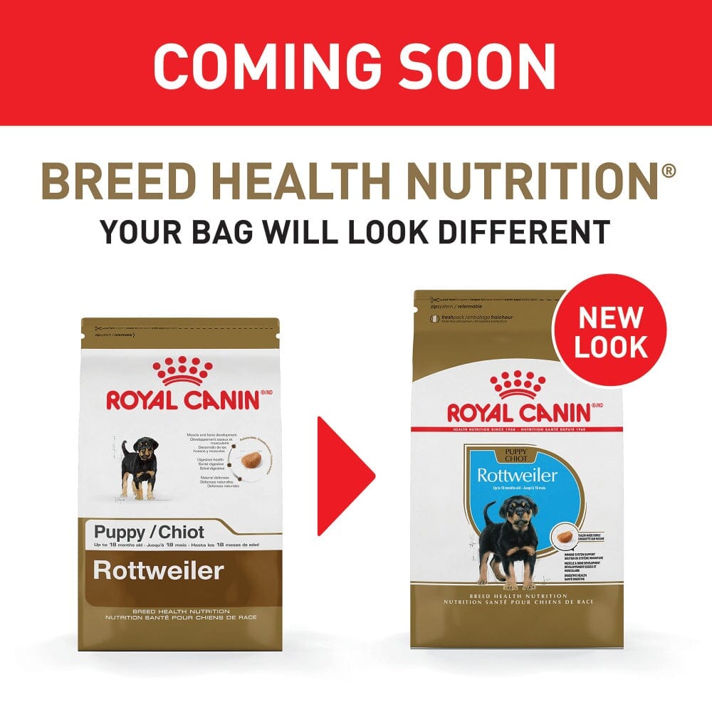 Royal Canin Breed Health Nutrition Rottweiler Puppy Recipe Dry Dog Food  