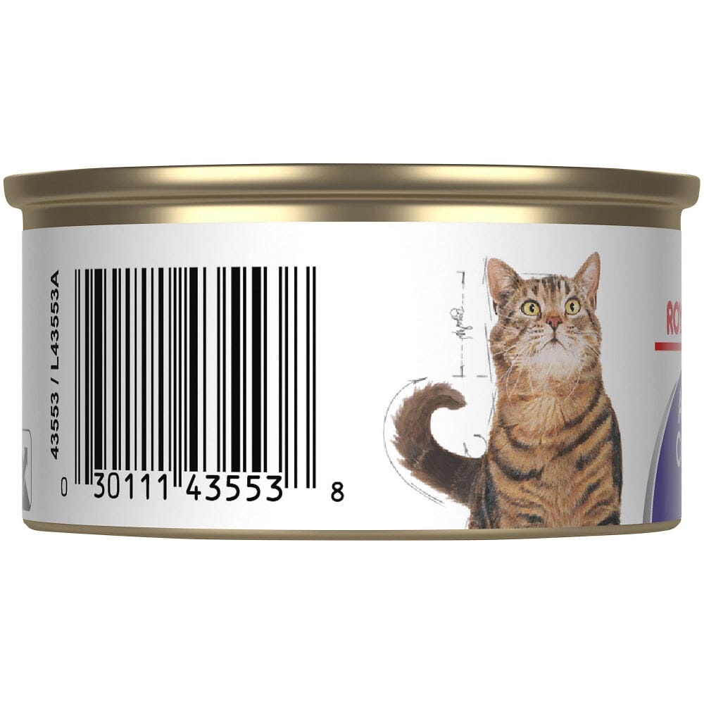 Royal Canin Feline Care Nutrition Appetite Control Canned Cat Food  