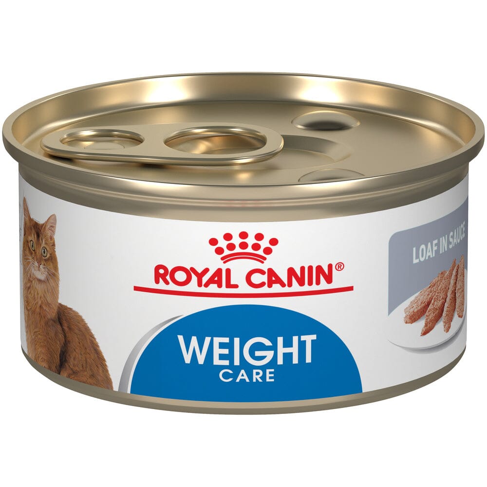 Royal Canin Feline Care Nutrition Weight Care Loaf In Sauce Canned Cat Food  