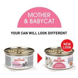 Royal Canin Feline Health Nutrition Mother & Babycat Ultra Soft Mousse in Sauce Canned Cat Food  