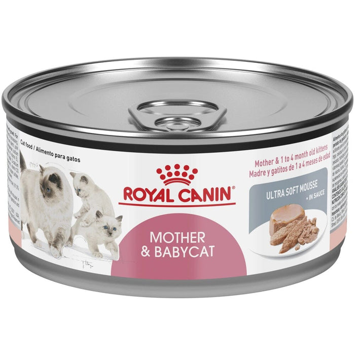 Royal Canin Feline Health Nutrition Mother & Babycat Ultra Soft Mousse in Sauce Canned ...