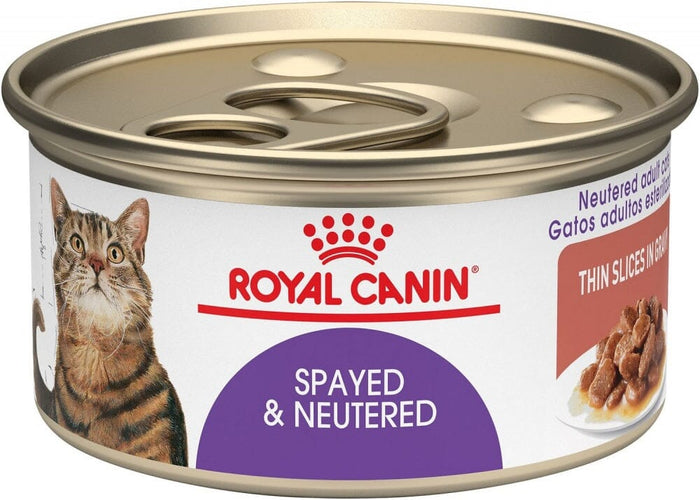 Royal Canin Feline Health Nutrition Spayed or Neutered Thin Slices in Gravy Canned Cat ...