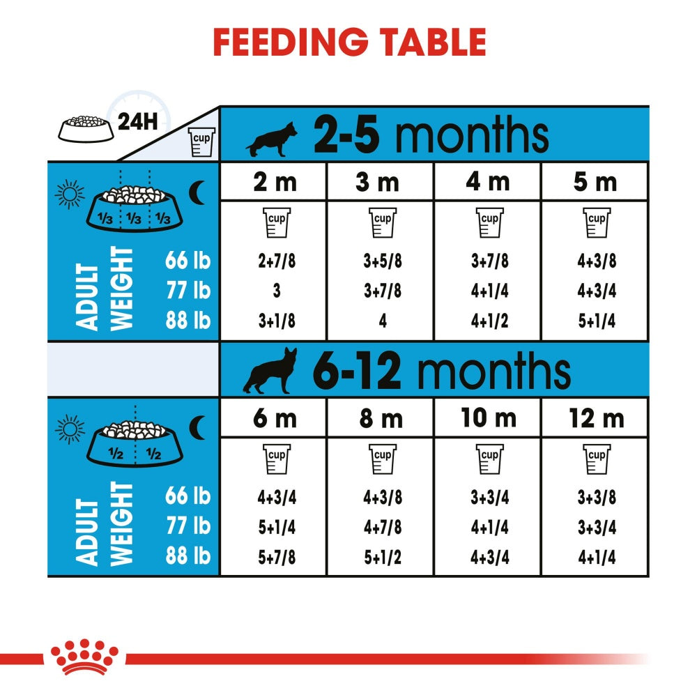 Royal Canin Size Health Nutrition Large Breed Puppy Dry Dog Food  