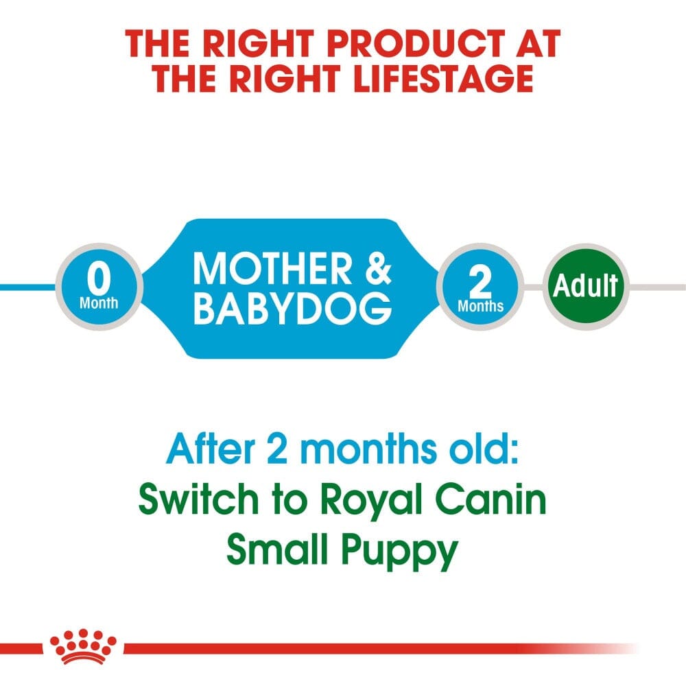 Royal Canin Small Breed Starter Babydog & Mother Dry Dog Food  