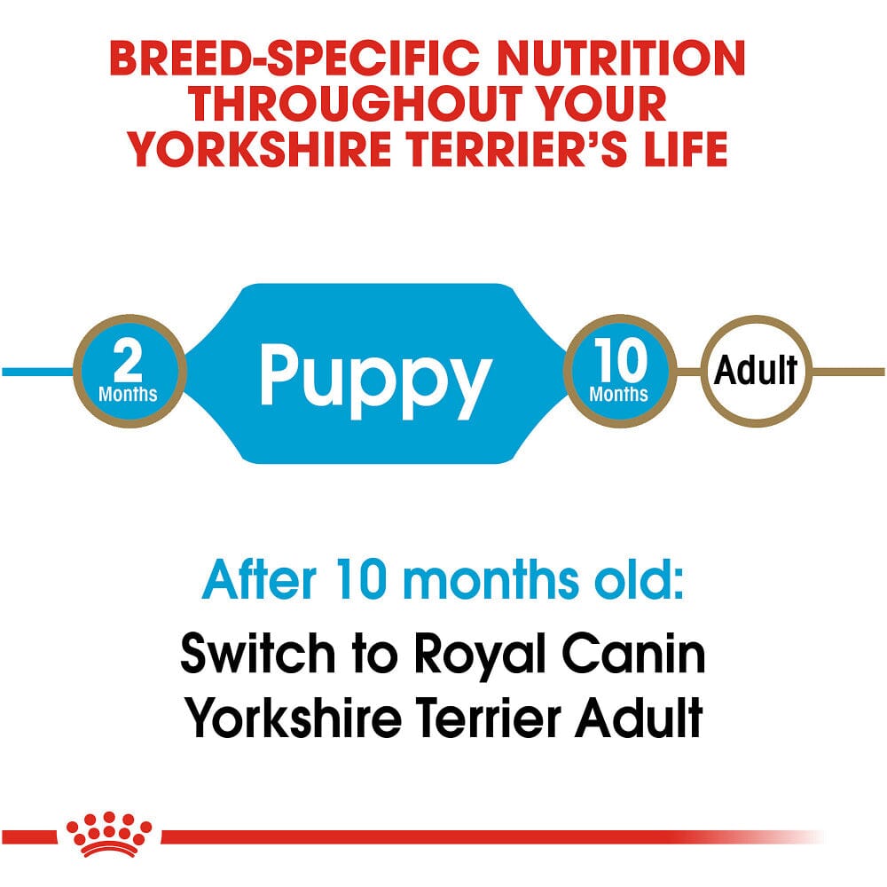 Royal Canin Yorkshire Terrier Puppy Dry Dog Food  