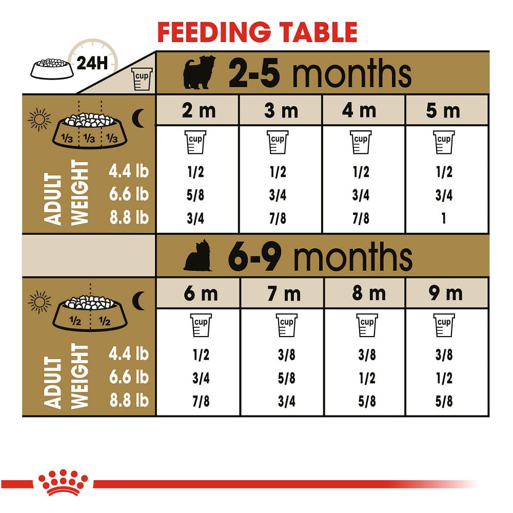 Royal Canin Yorkshire Terrier Puppy Dry Dog Food  