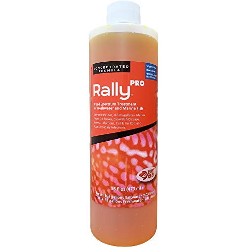 Ruby Reef Rally Pro - 16 oz  
