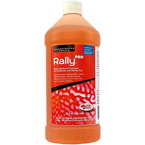 Ruby Reef Rally Pro - 32 fl oz  