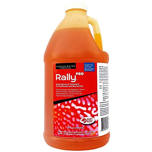 Ruby Reef Rally Pro - 64 oz  