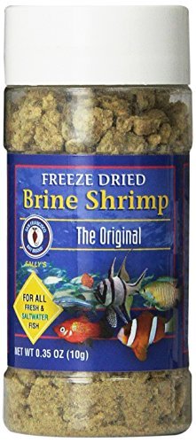 San Francisco Bay Brand Freeze Dried Brine Shrimp - 0.35 oz  