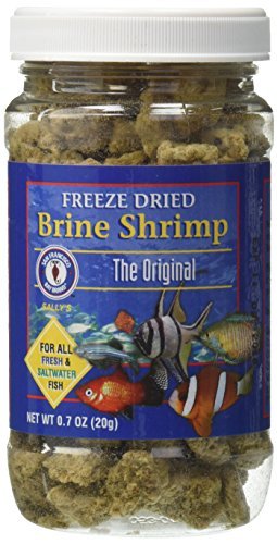 San Francisco Bay Brand Freeze Dried Brine Shrimp - 0.7 oz