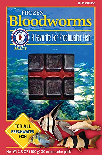 San Francisco Bay Brand Frozen Bloodworms - 30 Cubes - 3.5 oz  