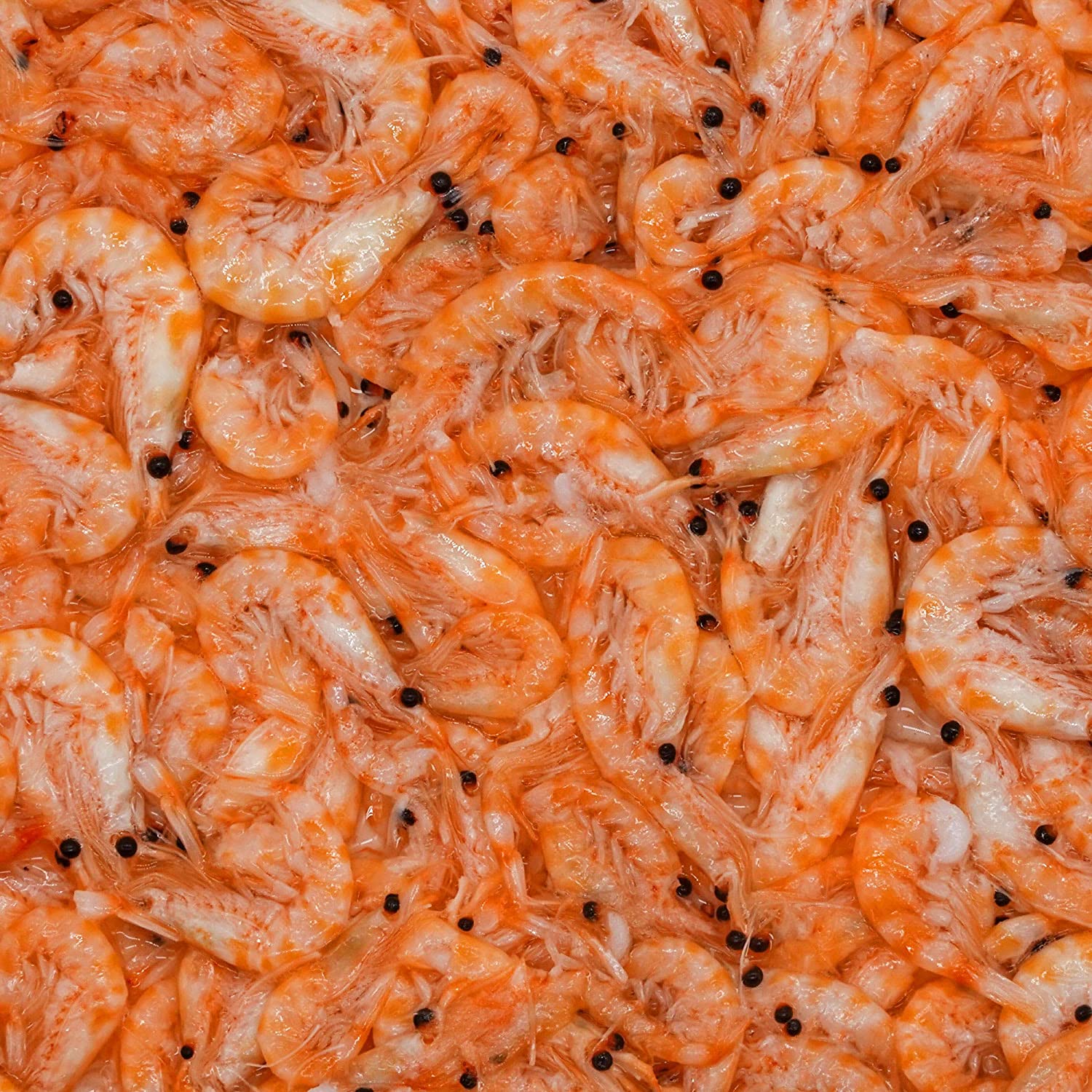 San Francisco Bay Brand Frozen Krill - 8 oz  