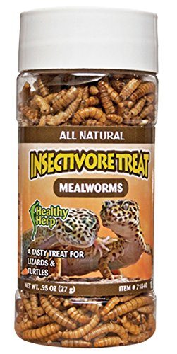 San Francisco Bay Brand Insectivore Treat - Mealworms - 27 g