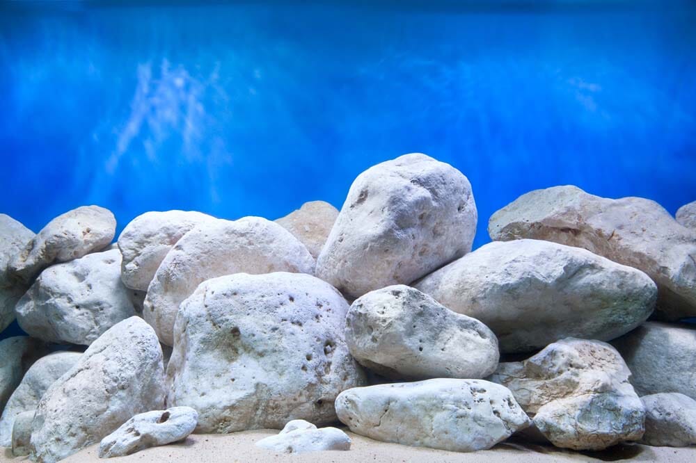 Seaview Double Sided Background Aqua Garden & Bright Stone - 12 in X 50 ft  