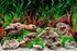 Seaview Double Sided Background Aquawild & Slateways - 24 in X 50 ft  