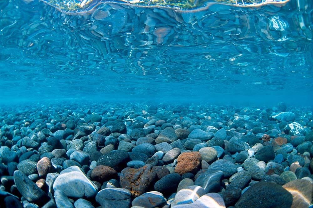 Seaview Double Sided Background River Rock & Sea of Green - 24 in X 50 ft  