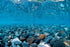 Seaview Double Sided Background River Rock & Sea of Green - 24 in X 50 ft  