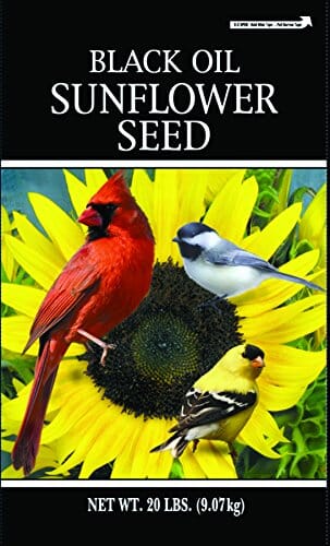 Shafer Generic Black Oil Sunflower Seed Sunflower Oil Wild Bird Food - 20 Lbs