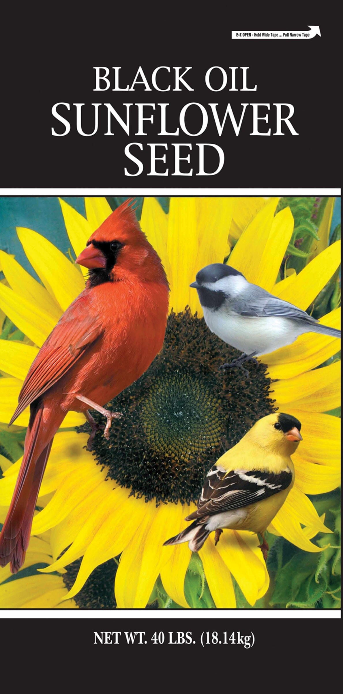 Shafer Generic Black Oil Sunflower Seed Sunflower Oil Wild Bird Food - 40 Lbs  