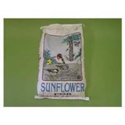 Shafer Generic Premium Sunflower Blend Wild Bird Food - 25 Lbs
