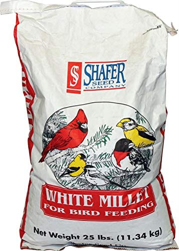 Shafer Generic White Millet Wild Bird Food Millet - 25 Lbs