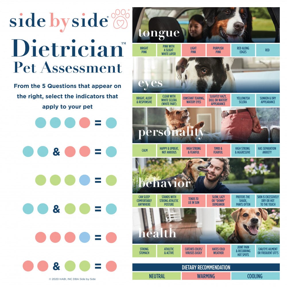 Side By Side Belly Balance Supplement for Prebiotic & Probiotic Digestive Support Capsules Dog Supplements  