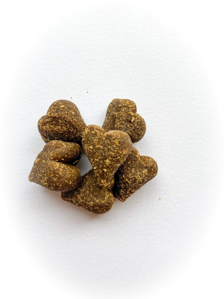 Side By Side Lamb & Pumpkin Soft Chew Training Treats Warming Recipe Dog Treats  