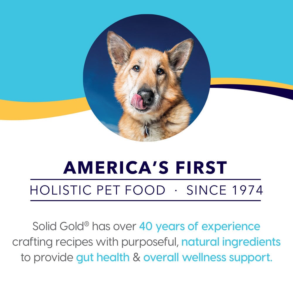 Solid Gold Bone Broth Beef for Dogs  