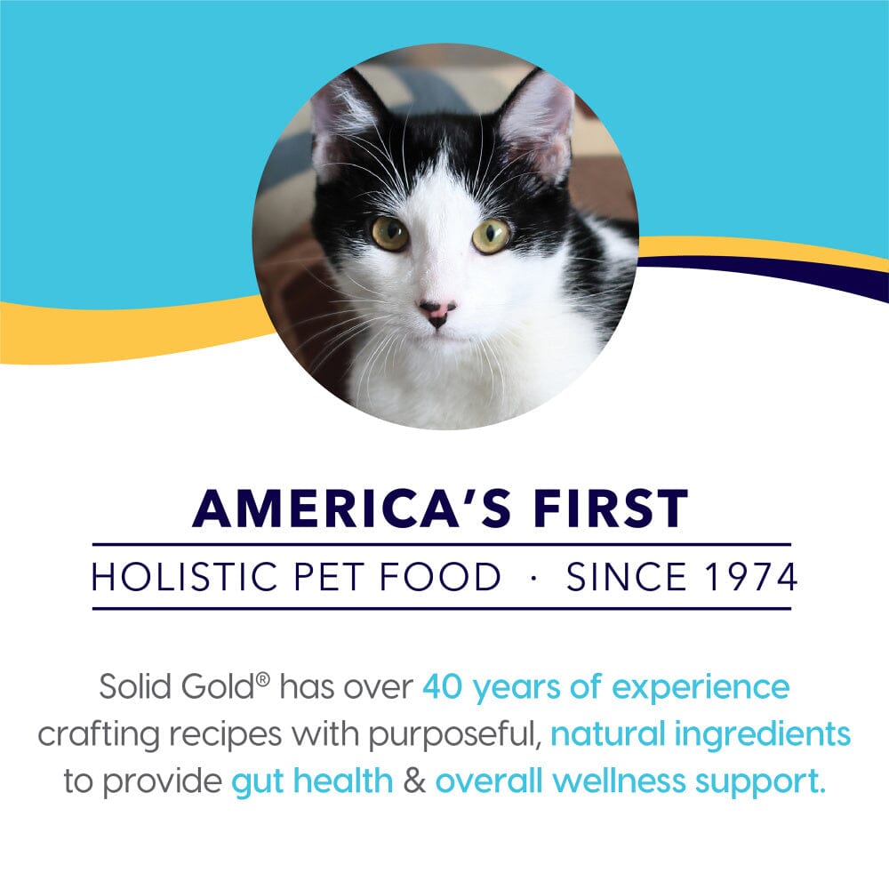 Solid Gold NutrientBoost Katz-N-Flocken with Lamb, Brown Rice & Pearled Barley Dry Cat Food  