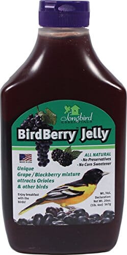 Songbird Essentials Birdberry Jelly Wild Bird Food - Grape/Blackberr - 20 Oz