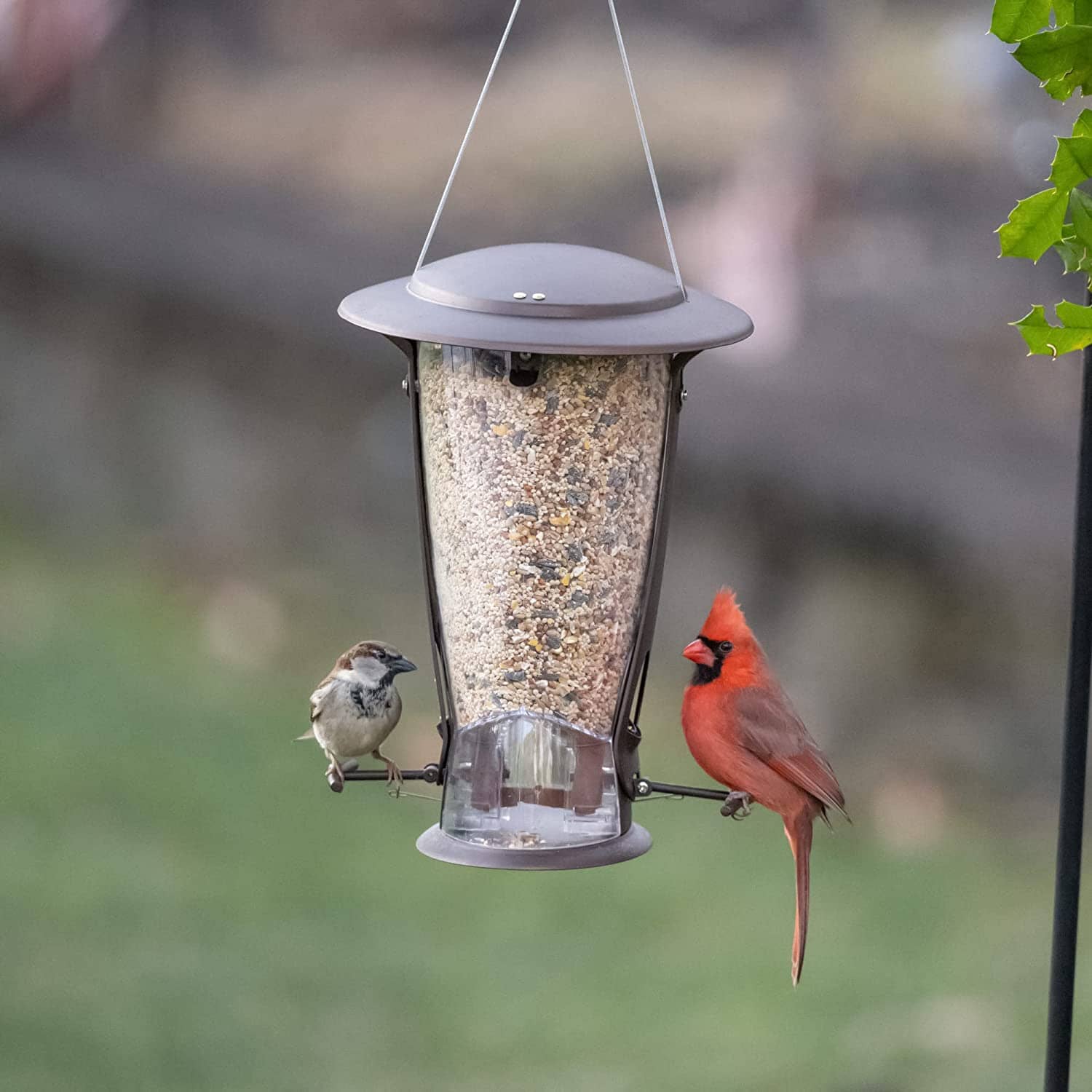 Squirrel-X X2 Squirrel Resistant Tubed Wild Bird Feeder - Brushed Copper - 4 Lbs Cap  