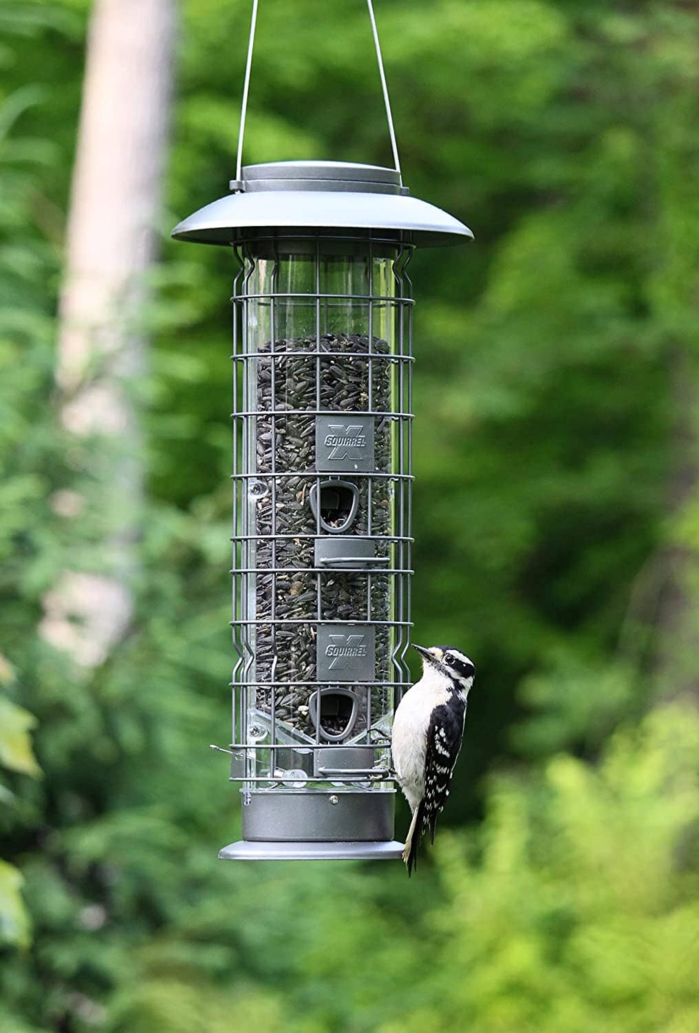 Squirrel-X4 Squirrel Resistant Tubed Wild Bird Feeder - Silver - 1.5 Lbs Cap  