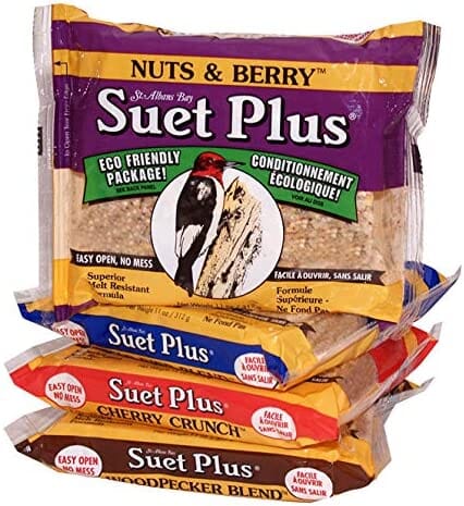 Suet Cakes Plus Nuts & Berry Blend Suet Cakes Wild Bird Food - Nuts/Berry - 11 Oz