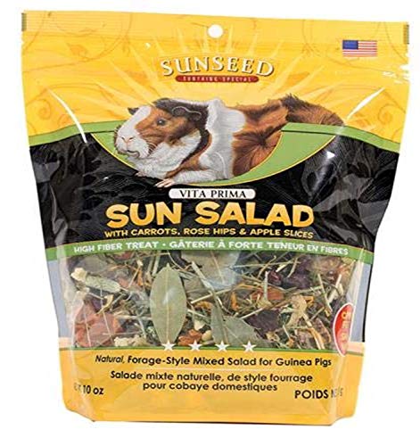 Sunseed Sun Salad Guinea Pig Foraging Treat - 10 oz - Pack of 6
